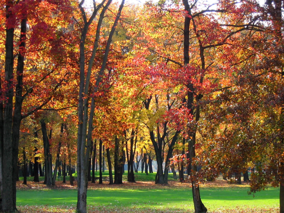 Princeton - Golf Course